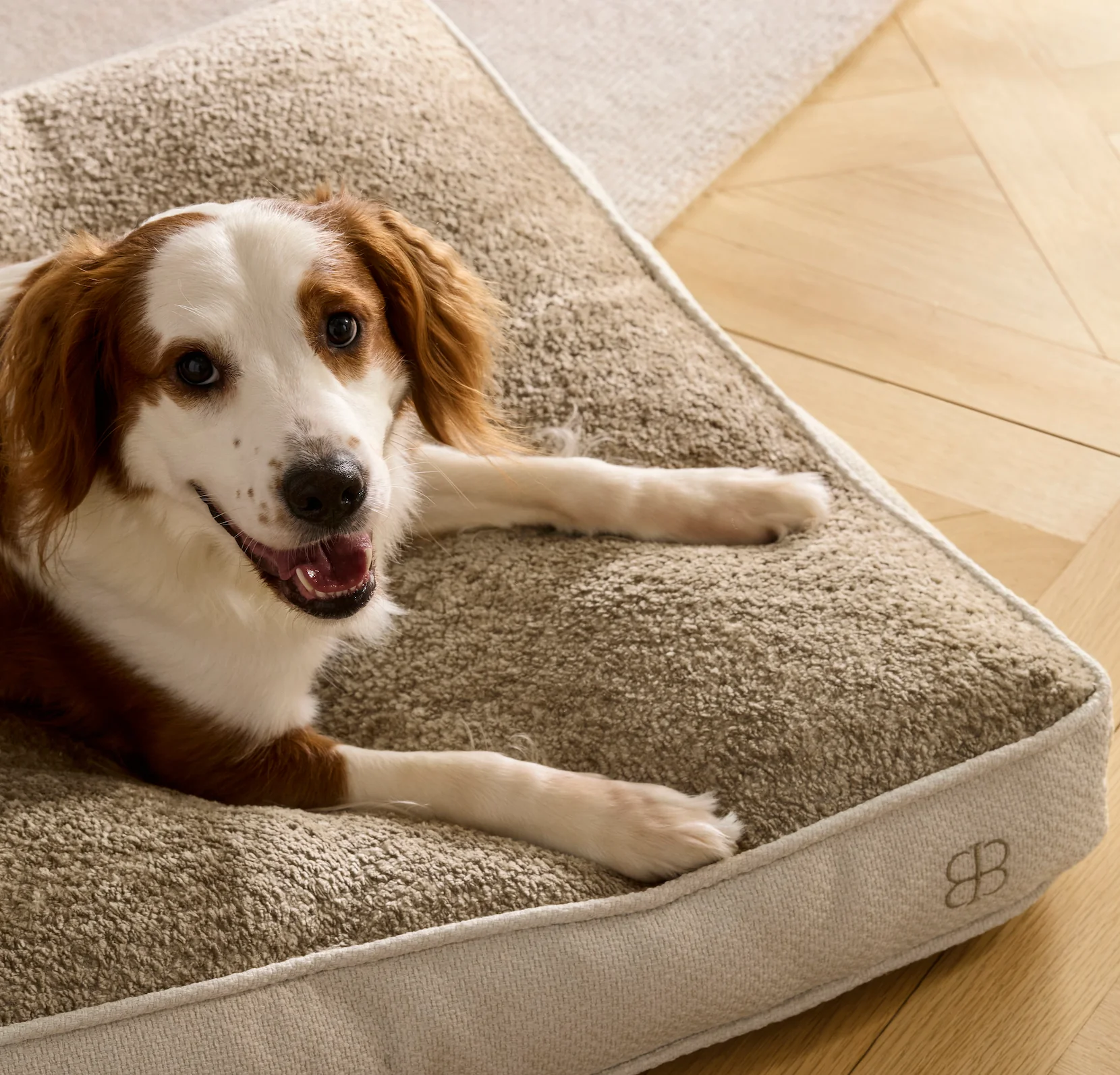 Piped Edge Pet Cushion - Bone - Image 4